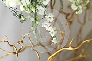 Decoration of the banquet hall, photo zone and wedding arch with eucalyptus leaves, hydrangea and eustoma in the wedding hall.