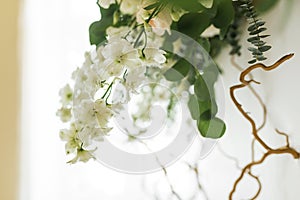 Decoration of the banquet hall, photo zone and wedding arch with eucalyptus leaves, hydrangea and eustoma in the wedding hall.