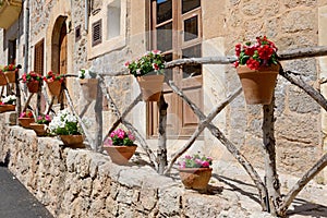 The decoration of building with outdoor pot flowers on wooden fence