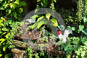 Decoration chicken in the garden background. Decorative cock and hen in ornamental garden