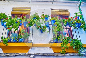 Decoration of Cordovan Patio, Cordoba, Spain photo