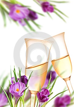 Decoration from crocuses and champagne flutes