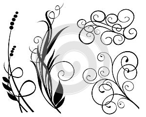 Decoration element vector