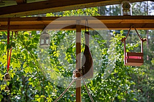 Decoration elements of the gazebo