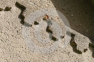 Decoration elements on the old plastered wall