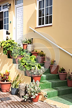 Decoration of an entrance staircase to a property seen from the street