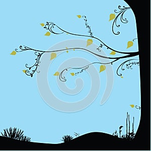 Decoration of the Environment