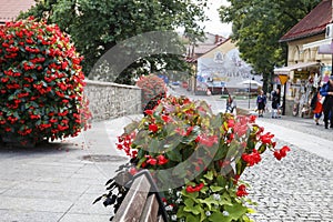 WADOWICE, POLAND - SEPTEMBER 14, 2019: Decoration of flowers and other plants at the walking alley photo