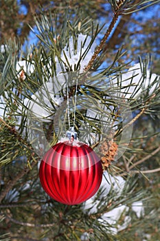 Decoration hung on outdoor Christmas tree with snowy branches