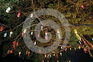 Decoration lamp hanging under the tree