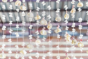 Decoration with many different seashells and snails