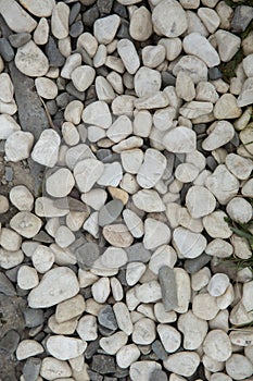 Decoration material for garden . White pebble on the small garden ground inside the house . Sea stones. For cackground an Textures