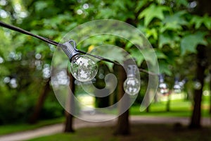Decoration for an outdoor party, a garland of light bulbs hanging between the trees