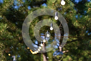 Decoration for an outdoor party. A garland of light bulbs hanging between the trees