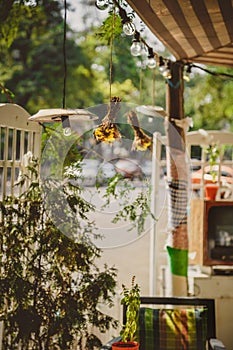 Decoration, outdoor retro vintage string lights hanging in a line in cafe. Lighting decor.