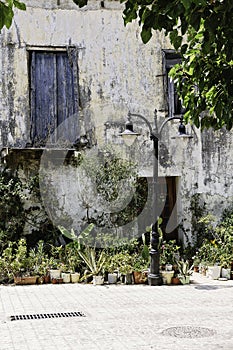 Decoration of the porch with flowers in pots. Entrance to the house