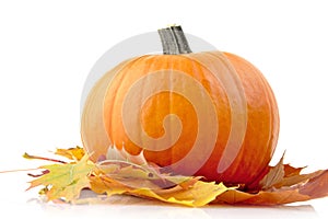 Decoration of pumpkin with autumn leaves for thanksgiving day on white