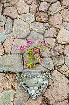 Decoration stone wall with pink flower in roman pot