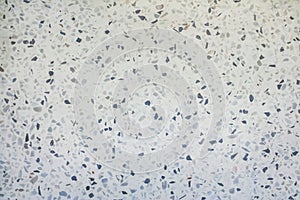 Decoration terrazzo floor texture , small rock abstract