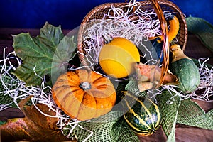 Decoration for Thanksgiving Day made of decorative pumpkins and a fruit basket.