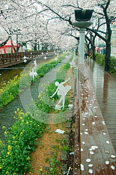 Decoration at the Yeojwacheon stream Romance bridge during Spring season at Jinhae Gunhangje Festival, Jinhae, South Korea