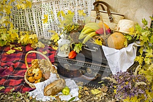 Decorations for autumn picnic in forest. Retro photo in nature. Autumn warm days. Indian summer. rustic autumn still life. Harvest