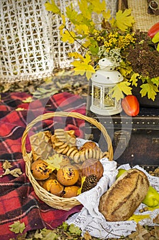 Decorations for autumn picnic in forest. Retro photo in nature. Autumn warm days. Indian summer. rustic autumn still life. Harvest
