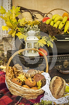 Decorations for autumn picnic in forest. Retro photo in nature. Autumn warm days. Indian summer. rustic autumn still life. Harvest