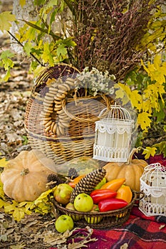 Decorations for autumn picnic in forest. Retro photo in nature. Autumn warm days. Indian summer. rustic autumn still life. Harvest