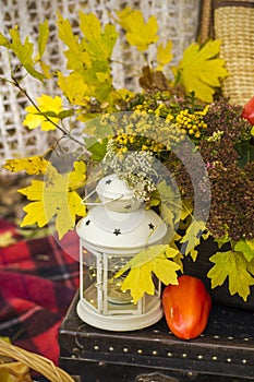 Decorations for autumn picnic in forest. Retro photo in nature. Autumn warm days. Indian summer. rustic autumn still life. Harvest