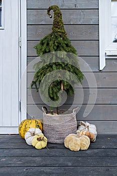 decorations and home decoration, artificial pumpkins and a decorative Christmas tree decorate the entrance to the house on heluin