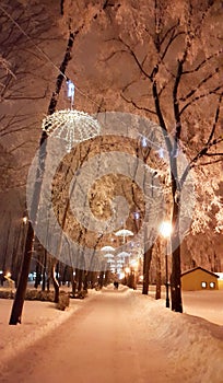 Decorations in Kharkiv winter - January 2017 Ukraine