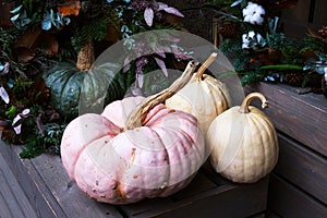 Decorations of multi-colored pumpkins and dried flowers in front of entrance to flower shop on Thanksgiving. Ð¡oncept greeting