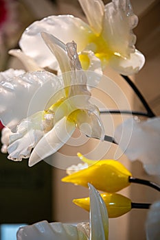 decorations at a wedding venue before holy matrimony