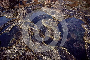 Decorative abstract erosion on a rock by sea water