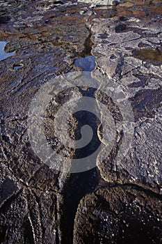 Decorative abstract erosion on a rock by sea water