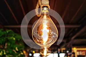 Decorative antique light bulbs hanging from the ceiling