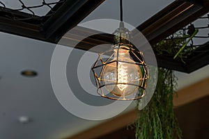 Decorative antique luxury light bulbs