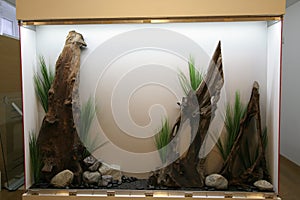 Decorative aquarium driftwood and stones