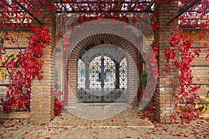 Decorative arched iron gateway through brick door to a garden
