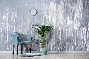 Decorative Areca palm in interior of room