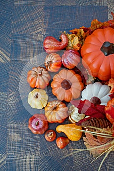 Decorative arrangement of pumpkin and beautiful leaves