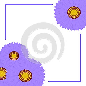 Decorative aster flowers top view, design elements.