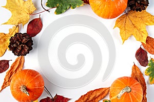 Decorative autumn composition of leaves, berries and pumpkins on white background.