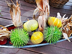 Decorative autumn fruit and vegetables