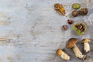 Decorative autumn right border with chestnuts, walnuts, hazelnuts, acorns ,ceps, and leaves on grey wooden board