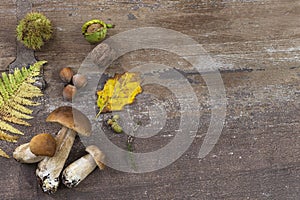 Decorative autumn right border with chestnuts, walnuts, hazelnuts, acorns ,ceps, and leaves old wooden background