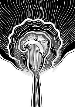Decorative background with Abstract flower Calla black and white