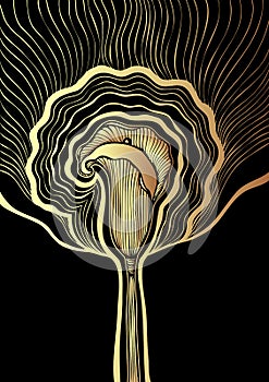Decorative background with Abstract flower Calla in gold black