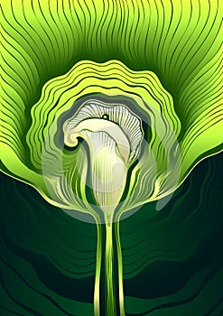 Decorative background with Abstract flower Calla in green